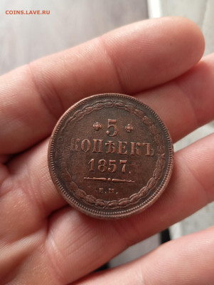 5 копеек 1857г ем до 23.01.26г в 22.00 по мск. - IMG_20260118_113105