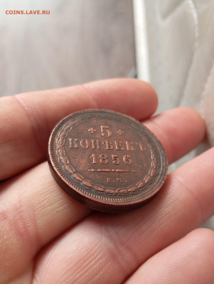 5 копеек 1856г ем до 23.01.26г в 22.00 по мск. - IMG_20260118_113143
