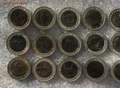 Красная книга набор 24.1.26 22.00 МСК . - IMG_8513