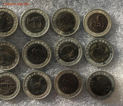 Красная книга набор 24.1.26 22.00 МСК . - IMG_8515