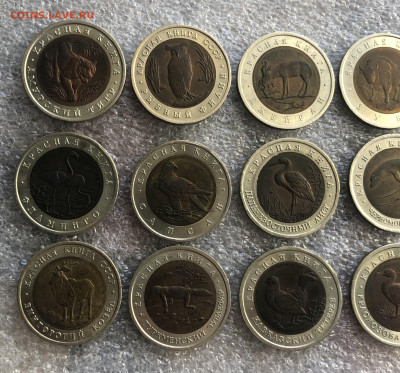 Красная книга набор 24.1.26 22.00 МСК . - IMG_8518