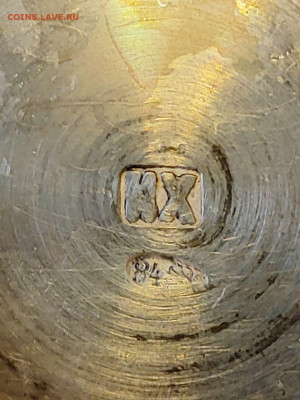 №2 - photo_5_2026-01-19_13-55-05