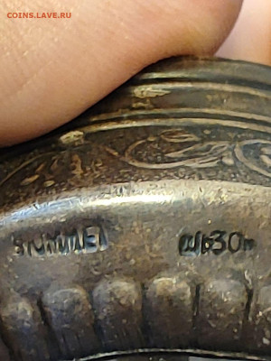 №3 - photo_6_2026-01-19_13-55-05