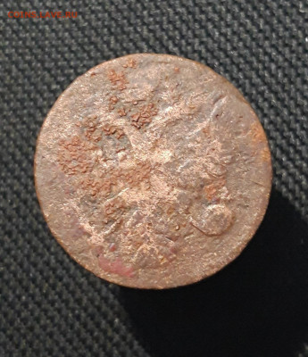 Анна Иоанновна Денга 1730 года До 25.01 - 20260114_205844