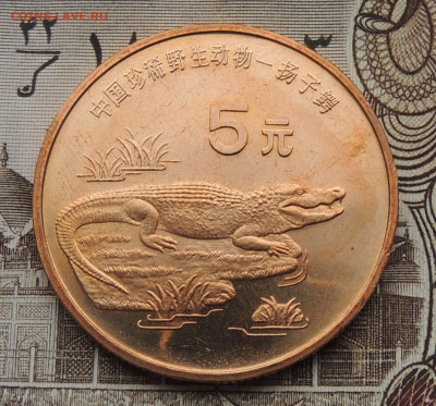 Китай 5 юань 1998 Кр. книга до 25.01.2026 - Китайский аллигатор.JPG