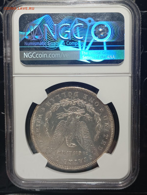 Доллар 1878 CC - IMG_20260119_191917