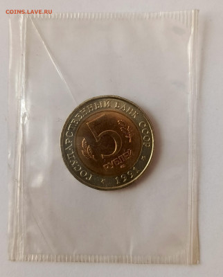 Красная книга. Винторогий козёл. Запайка до 25.01 - IMG_20260104_124838_056