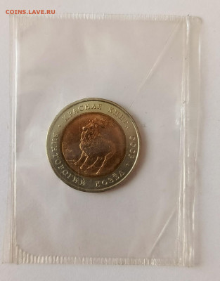 Красная книга. Винторогий козёл. Запайка до 25.01 - IMG_20260104_124851_159