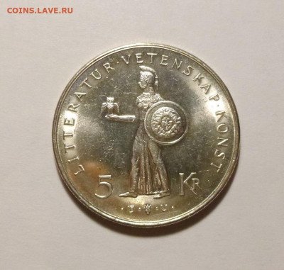 до 22-00мск 21.01.26 - P1150533.JPG