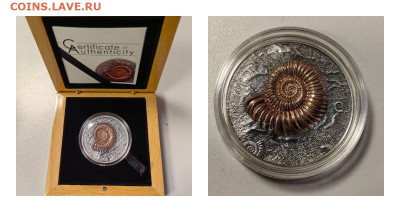 Монголия 500туг 2015 Эволюция жизни Аммонит Ag999, до 26.01 - Ю Эволюция 2015 Аммонит-0