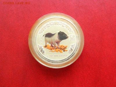 1 доллар 2008. Австралия. 155 грамм серебра. - 8_avstralijskikh_dollarov_2007_god_svini_8_uncij_serebro_155_gramm
