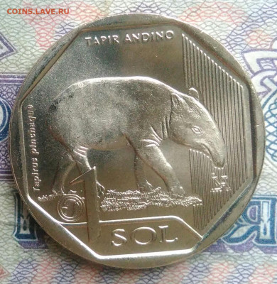 Перу 1 соль 2018 года до 26.01.2026 - IMG_20260120_215749