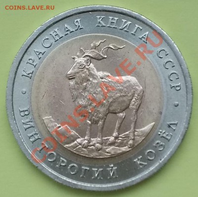 КК - винторогий козёл до 03.03.2012г -- 22-00 МСК - 5 рублей 1991 КК-винторогий козёл аверс.JPG