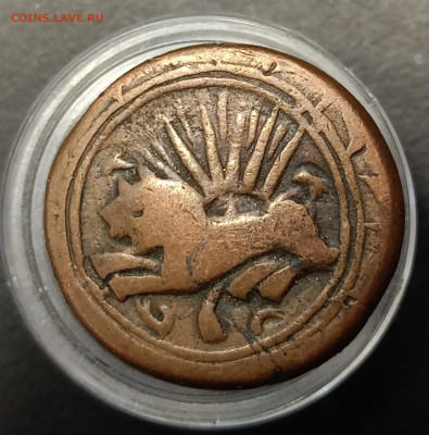 Помощь в опознании. - IMG_20260121_150622