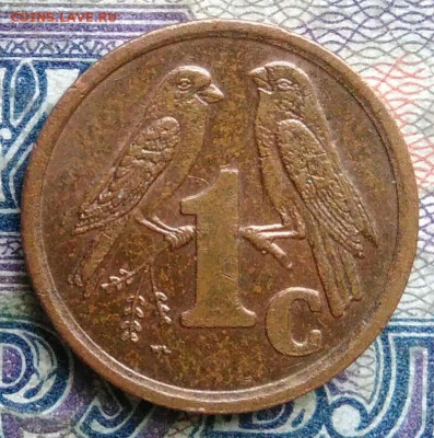 ЮАР 1 цент 1996 года до 26.01.2026 - IMG_20260120_022141