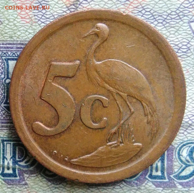 ЮАР 5 центов 1991 года до 26.01.2026 - IMG_20260120_022255