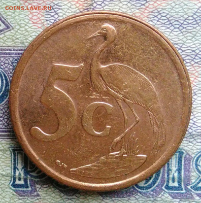ЮАР 5 центов 2009 года до 26.01.2026 - IMG_20260120_022219