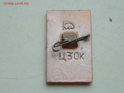 Два значка Туркменистана до 25.01.2026 22:00 - DSCN7301.JPG