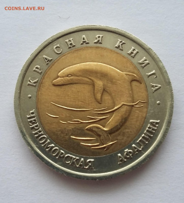 50р Красная книга Афалина - 20201104_203103