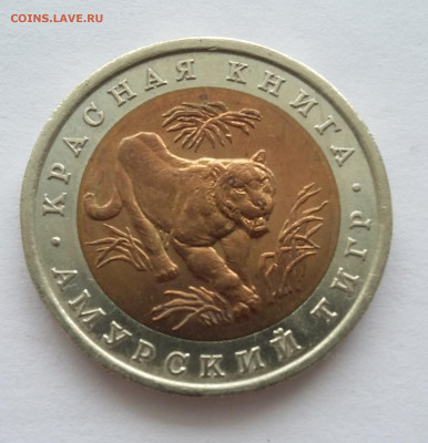 10р Красная книга  Тигр - 20201104_203154