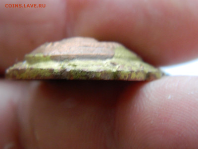 Кокарда до 25.01.2026 22:00 - DSCN7249.JPG