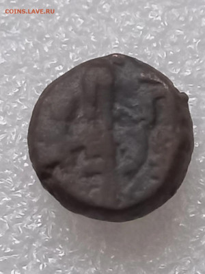 Античная монета - IMG_20260122_144758_461