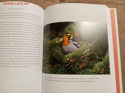 Эволюция красоты до 28.01.26 в 22:00 по мск - IMG_20260123_031011