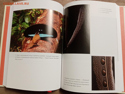 Эволюция красоты до 28.01.26 в 22:00 по мск - IMG_20260123_030956