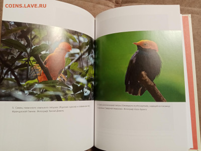 Эволюция красоты до 28.01.26 в 22:00 по мск - IMG_20260123_030945