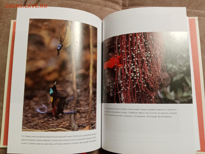 Эволюция красоты до 28.01.26 в 22:00 по мск - IMG_20260123_030932