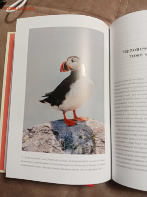 Эволюция красоты до 28.01.26 в 22:00 по мск - IMG_20260123_030858