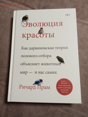 Эволюция красоты до 28.01.26 в 22:00 по мск - IMG_20260123_030808