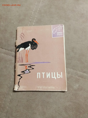 Птицы Крыма до 28.01.26 в 22:00 по мск - IMG_20260123_042005