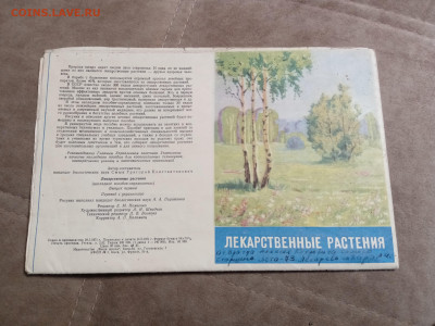 Наглядно пособие лекарственные растения до 28.01.26 в 22:00 - IMG_20260123_060537