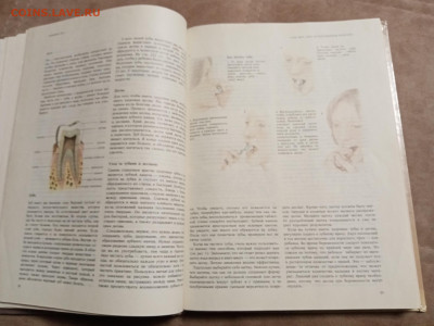 Книга о лице и теле до 29.01.26 в 22:00 по мск - IMG_20260123_203558