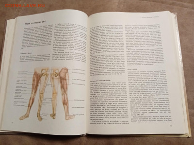 Книга о лице и теле до 29.01.26 в 22:00 по мск - IMG_20260123_203548