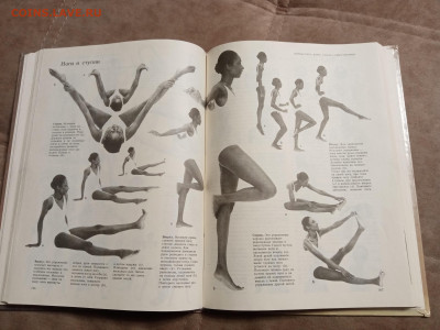 Книга о лице и теле до 29.01.26 в 22:00 по мск - IMG_20260123_203536