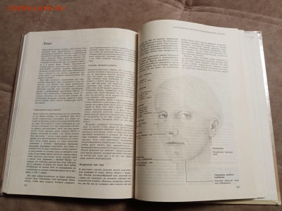 Книга о лице и теле до 29.01.26 в 22:00 по мск - IMG_20260123_203459