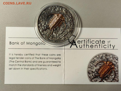 Монголия 500туг 2016 Эволюция жизни Трилобит Ag999, до 30.01 - Ю Эволюция 2016 Трилобит-3