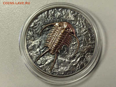 Монголия 500туг 2016 Эволюция жизни Трилобит Ag999, до 30.01 - Ю Эволюция 2016 Трилобит-1