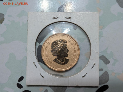 Монеты мира ФИКС до 25.01 - PXL_20260113_183314668