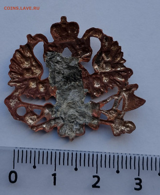 какарда - IMG_20260124_142457