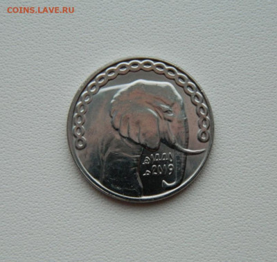 Алжир 5 динаров 2019 г. (Фауна) С рубля! до 28.01.26 - DSCN0775.JPG