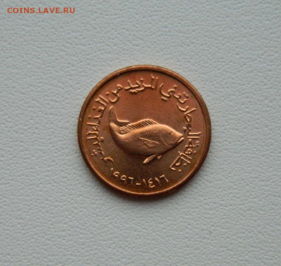ОАЭ 5 филсов 1996 г. (Фауна) С рубля! до 28.01.26 - DSCN0807.JPG