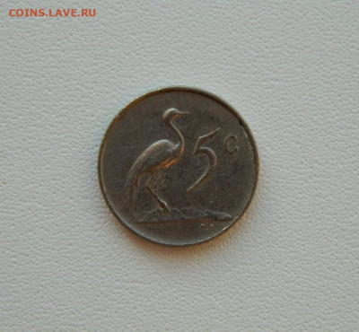 Южная Африка 5 центов 1965 г. (Фауна) С рубля! до 28.01.26 - DSCN0575.JPG