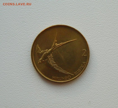 Словения 2 толара 1995 г. (Фауна) С рубля! до 29.01.26 - DSCN9890.JPG