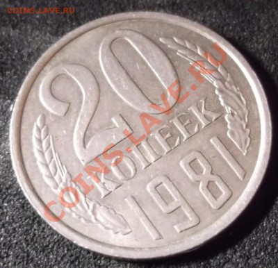 20 копеек  1981 Ф 142  до 06-03-12 23-00 - DSCF0146.JPG