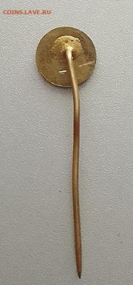 Bonex Teplice Чехия до 31.01. - знак_BonexTeplice-дизайн-Чехия_игла