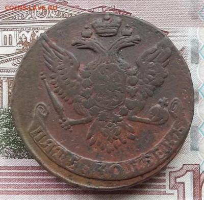 5 коп 1761 до 29.01 в 22.00 - DSCN7603.JPG