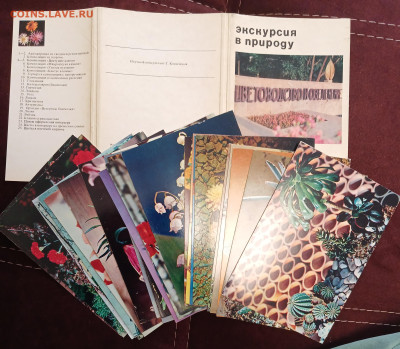 набор открыток ВДНХ СССР 1976 до 30.01.26 - 20260126_105133